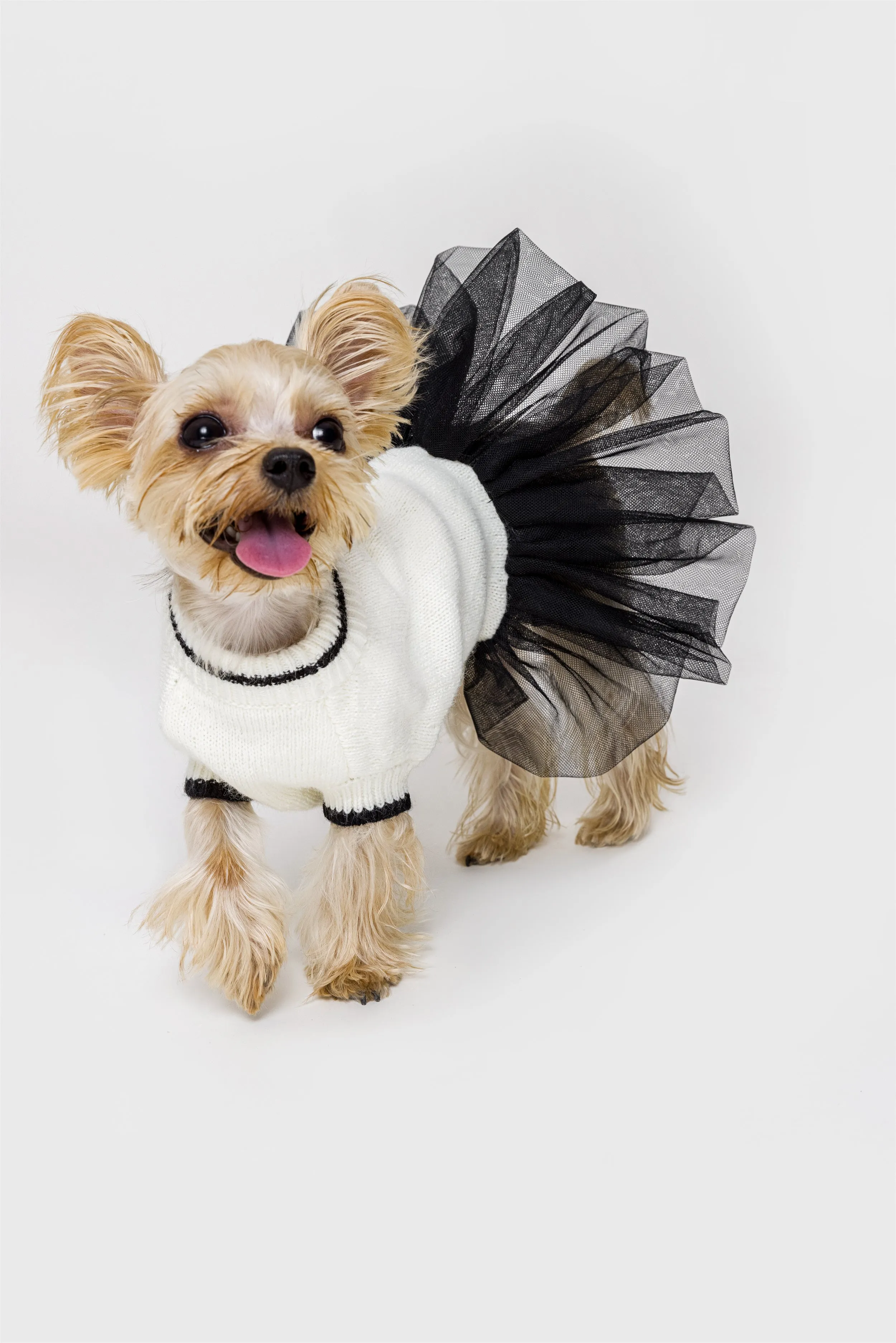 Jumper with Skirt