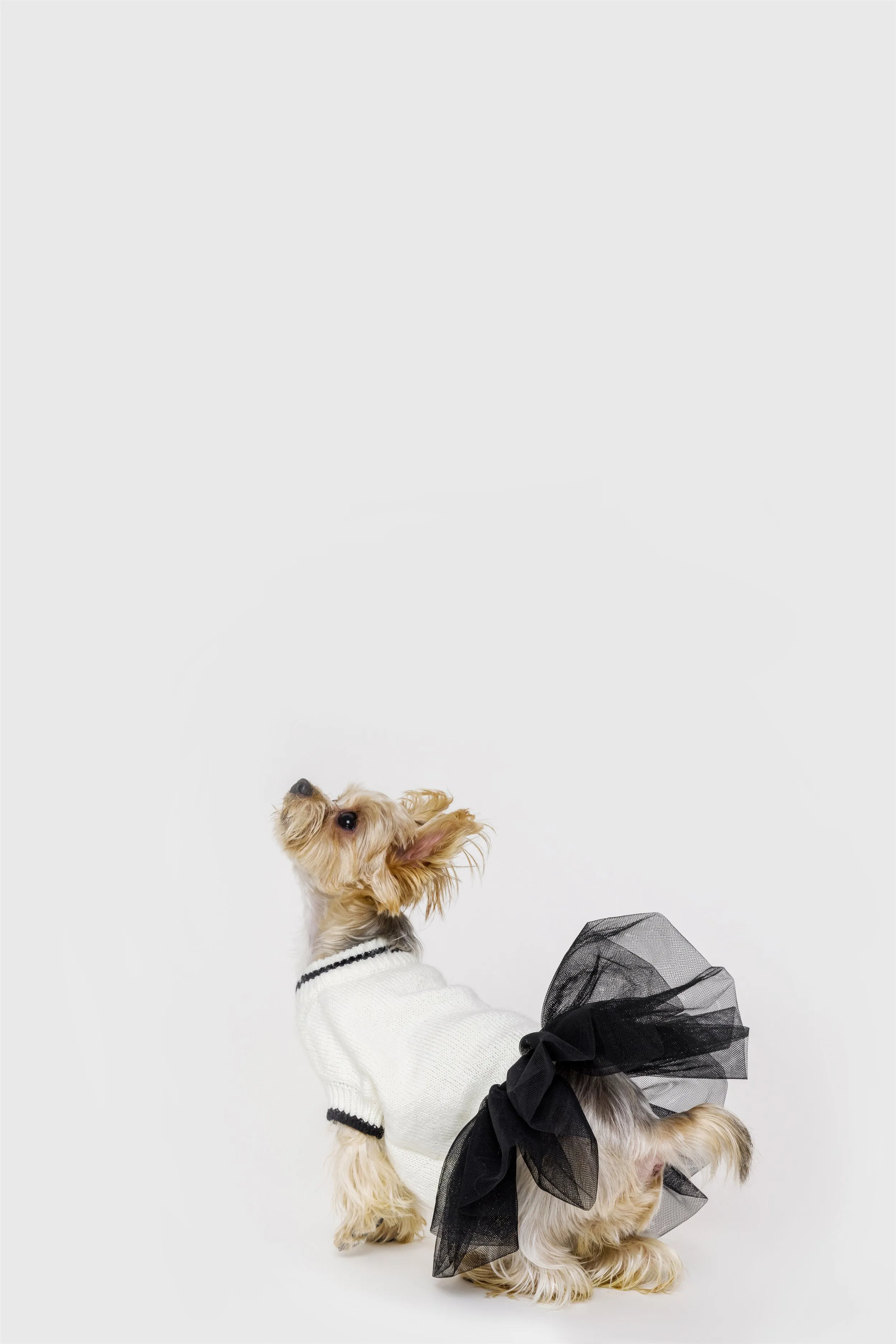 Jumper with Skirt