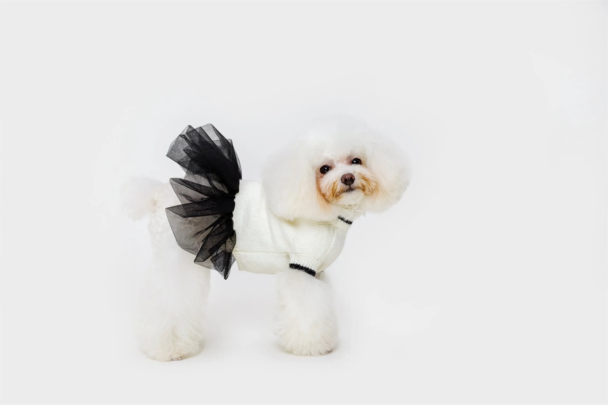 Jumper with Skirt
