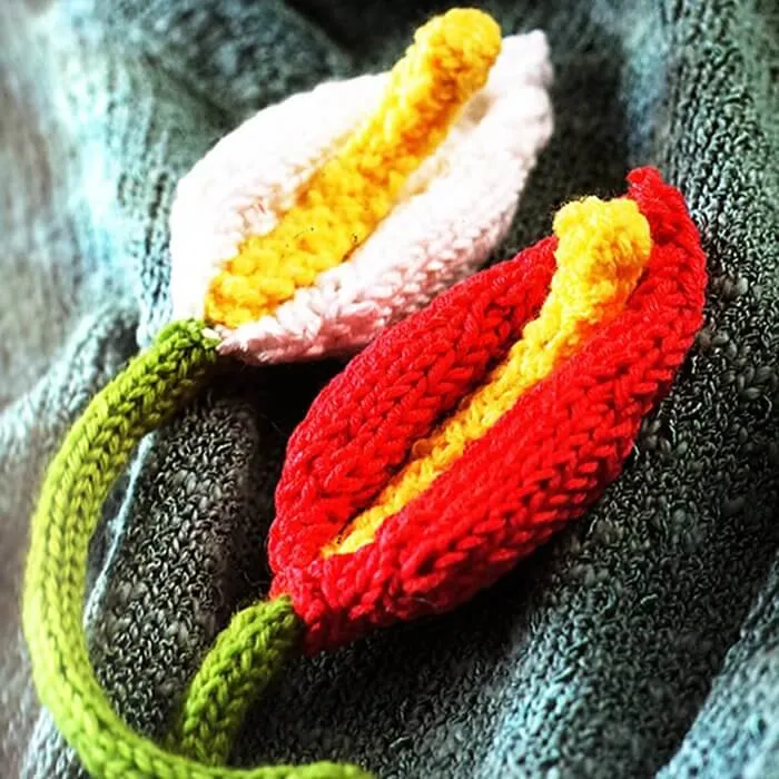 Twenty to Make Knitted Flowers